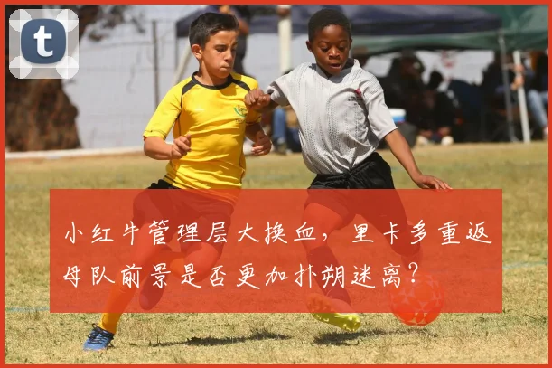 小红牛管理层大换血，里卡多重返母队前景是否更加扑朔迷离？